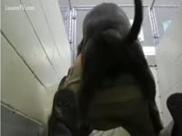 Bored guy makes out with his mutt